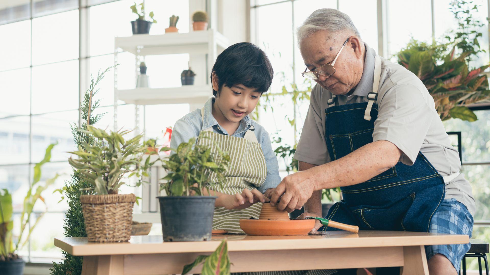 Policy and Advocacy Update – 29 October 2026
