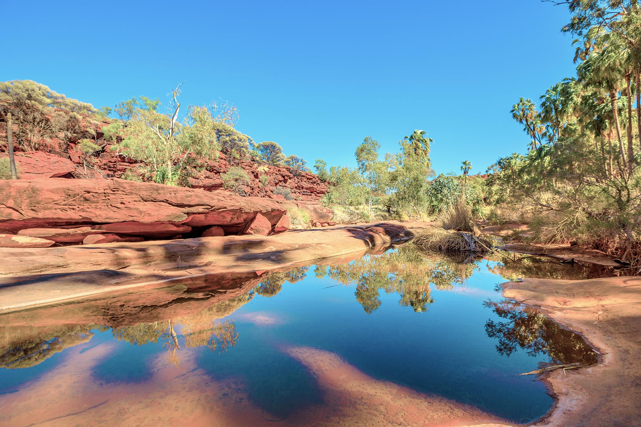 NT Advisory Council