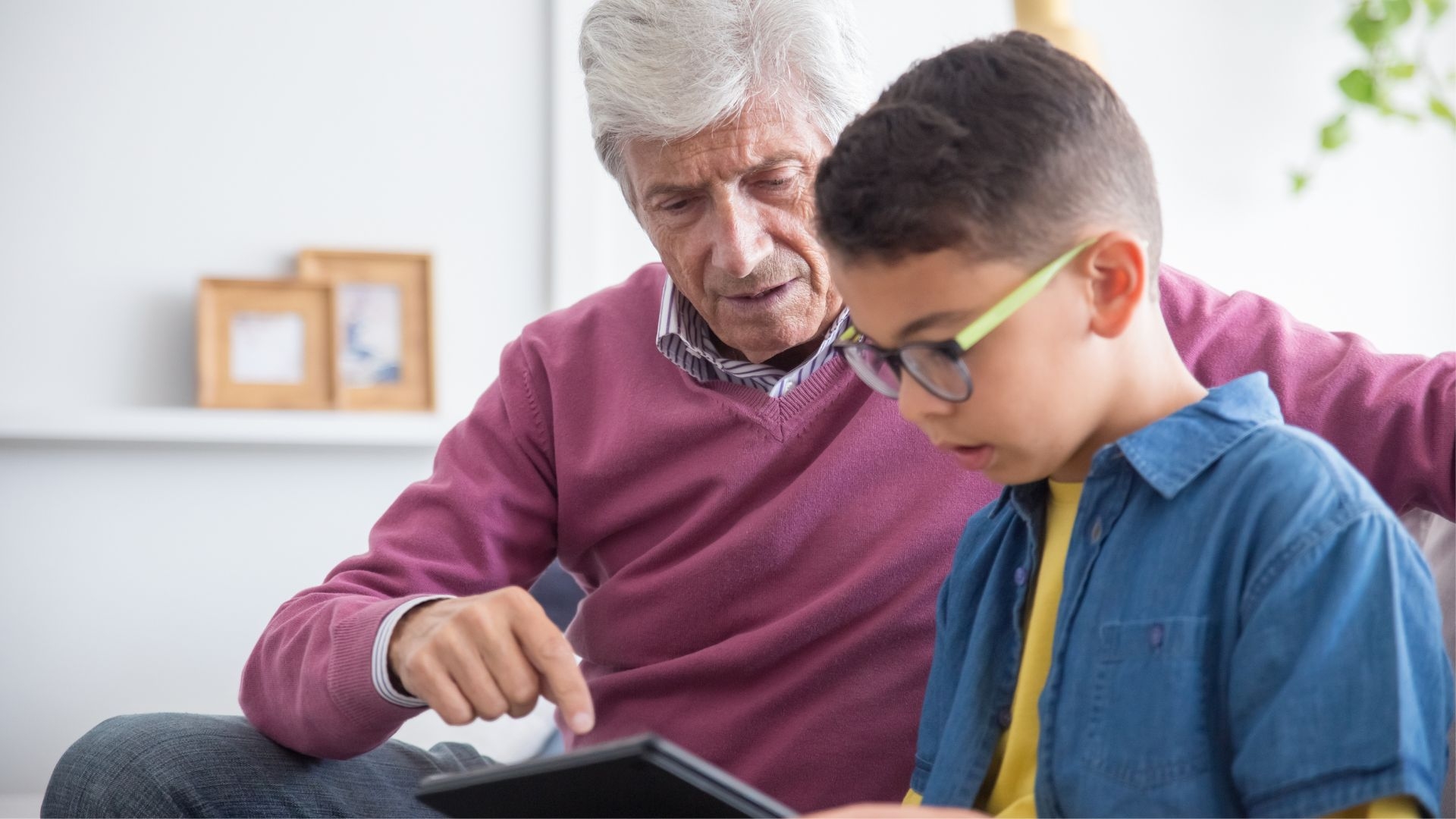 Policy and Advocacy Update – 20 August 2026