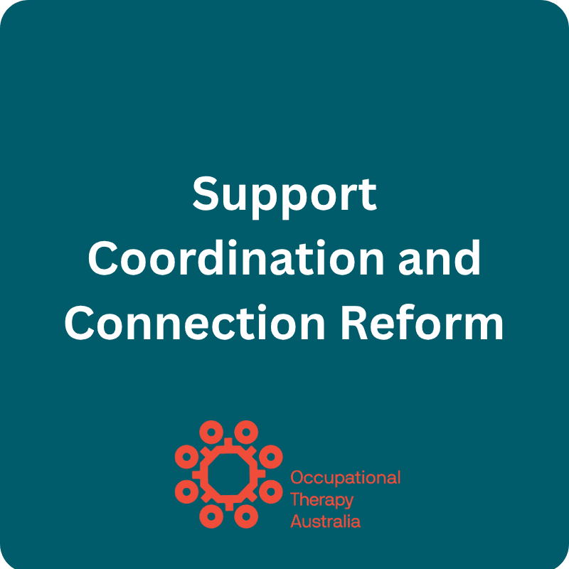 Support Coordination and Connection Reform