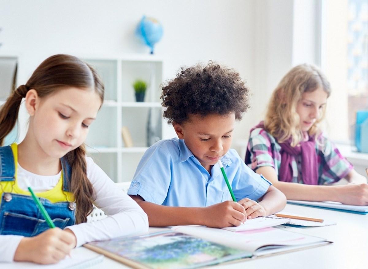 OT in Schools – Discrimination, Support & Policies (Workshop 2)