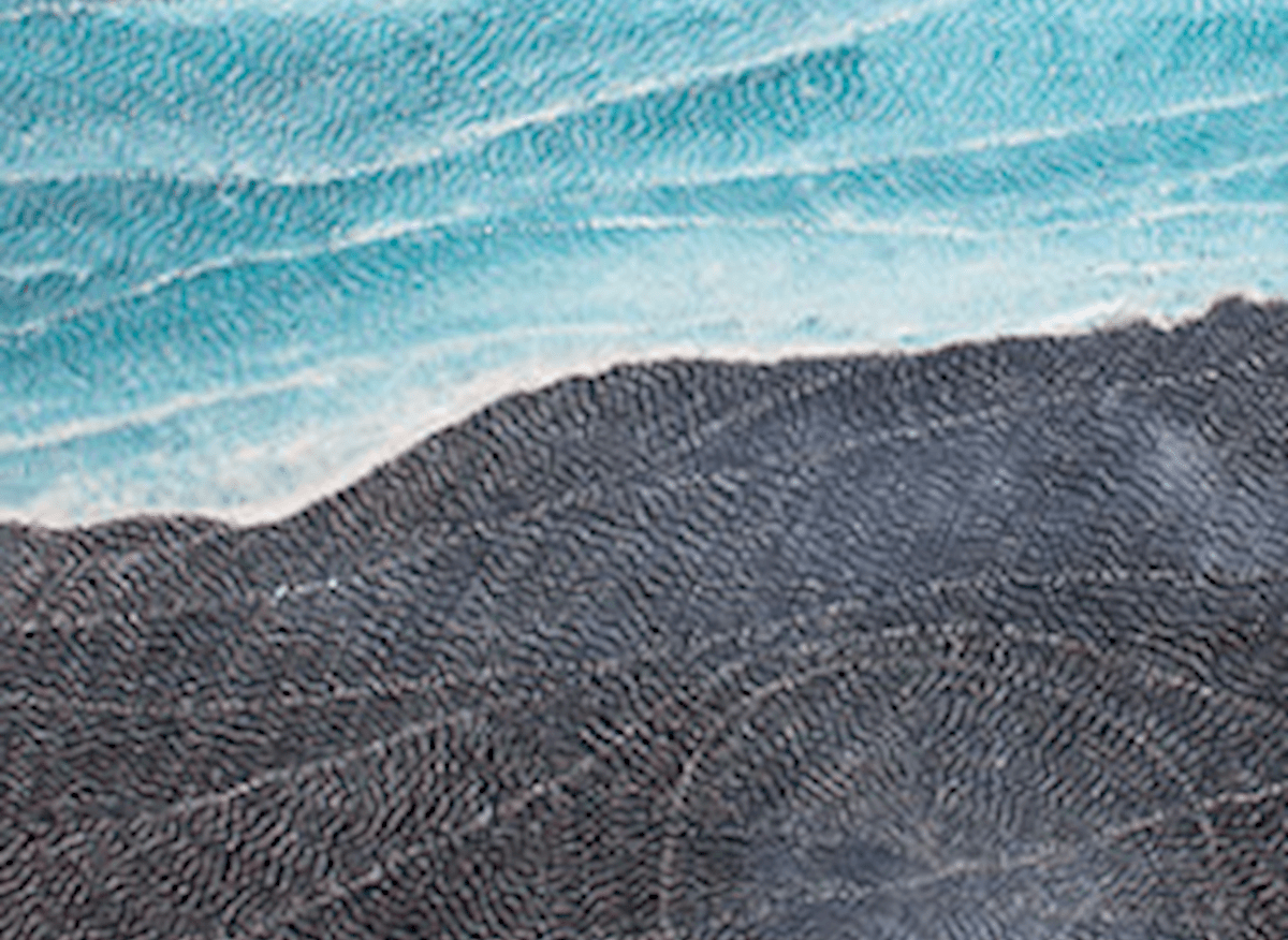 Embedding Cultural Safety: Trauma-Informed Leadership and Practice