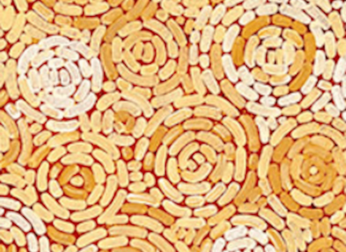 Delivering Stronger Aboriginal and Torres Strait Islander Outcomes